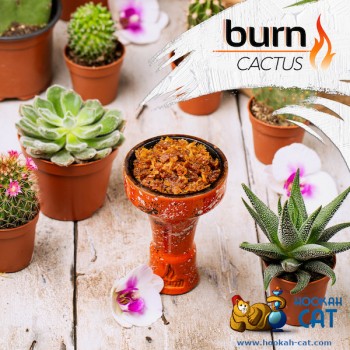 Заказать кальянный табак Burn Cactus (Берн Кактус) 100г онлайн с доставкой всей России